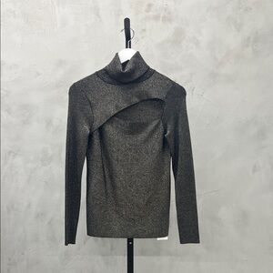 A.L.C. Metallic Gray Turtleneck Sweater